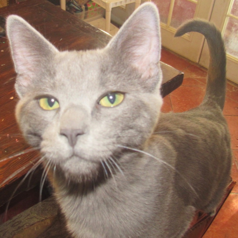 Meet your middleman, Alexis